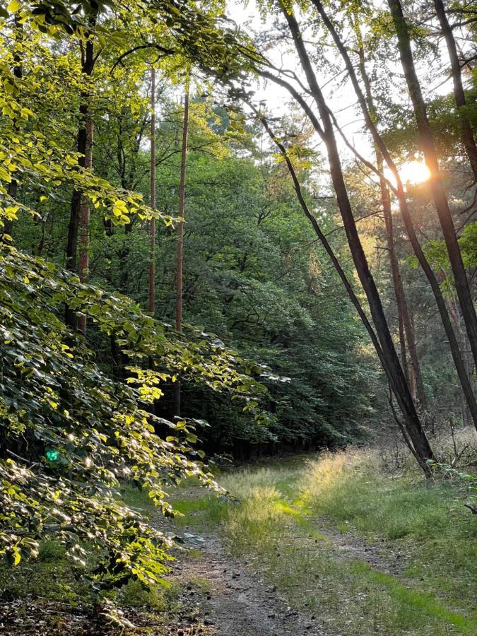 Unter Den Linden Apartman Halbe Kültér fotó